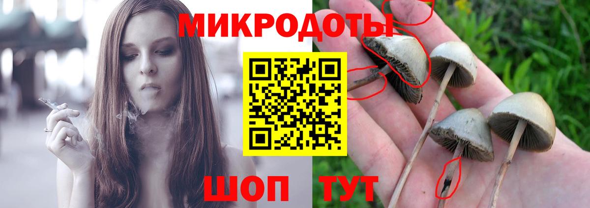 Галлюциногенные грибы Psilocybine cubensis  Галлюциногенные грибы мицелий  где купить наркотик  Тула  Вход с VPN 